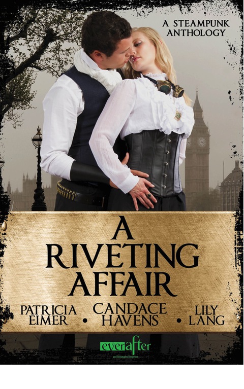 Cover image for book A Riveting Affair