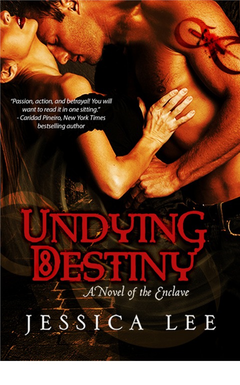 Cover image for book Undying Destiny
