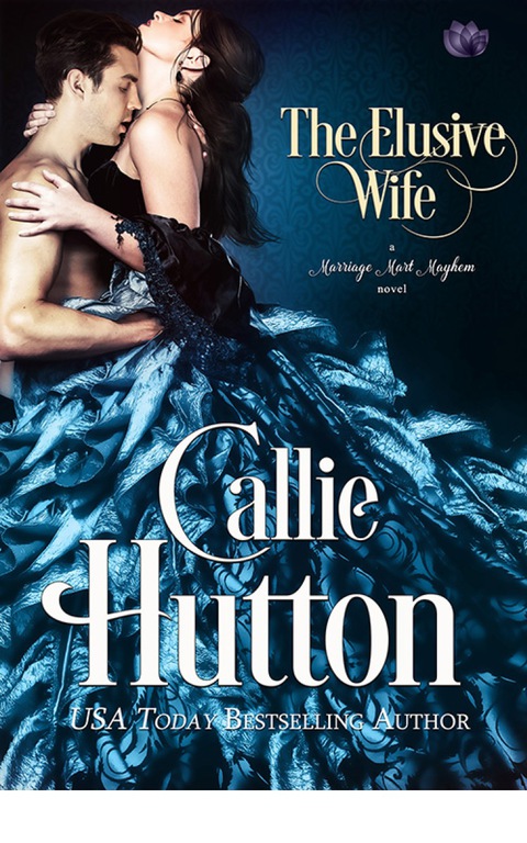 Cover image for book The Elusive Wife
