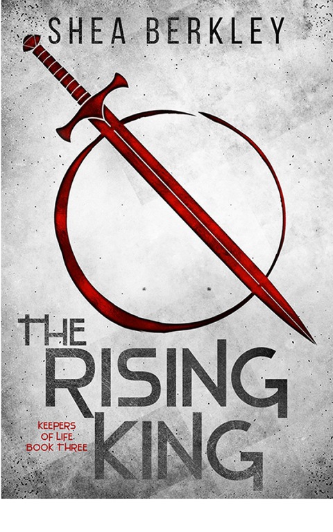 Cover image for book The Rising King
