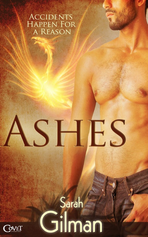 Cover image for book Ashes