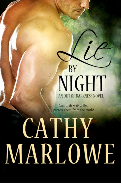 Cover image for book Lie by Night