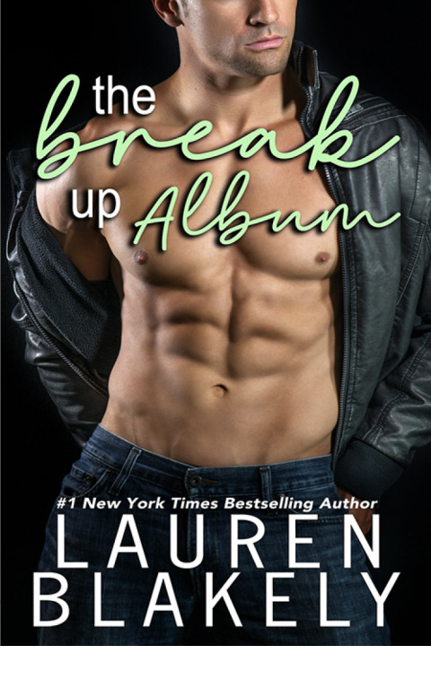 Cover image for book The Break-Up Album