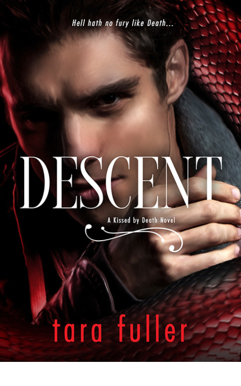 Cover image for book Descent