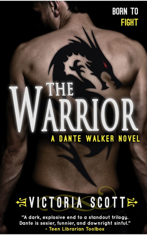 Cover image for book The Warrior