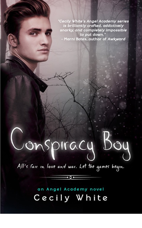 Cover image for book Conspiracy Boy