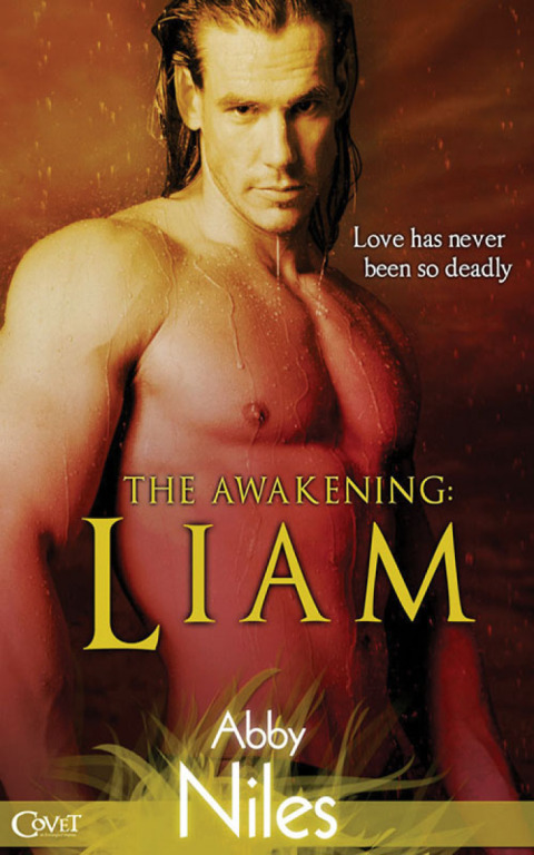 Cover image for book The Awakening: Liam