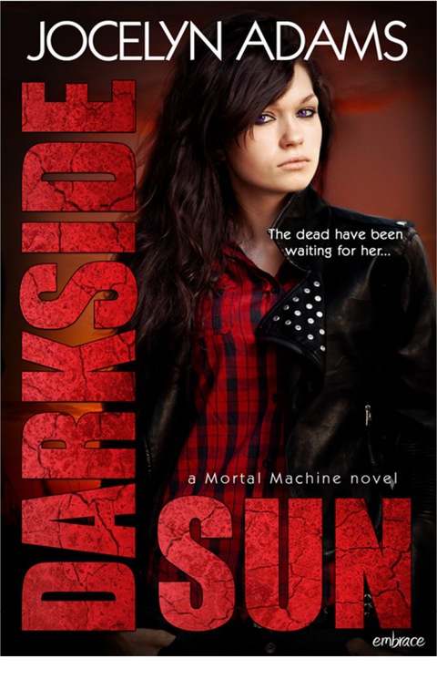 Cover image for book Darkside Sun