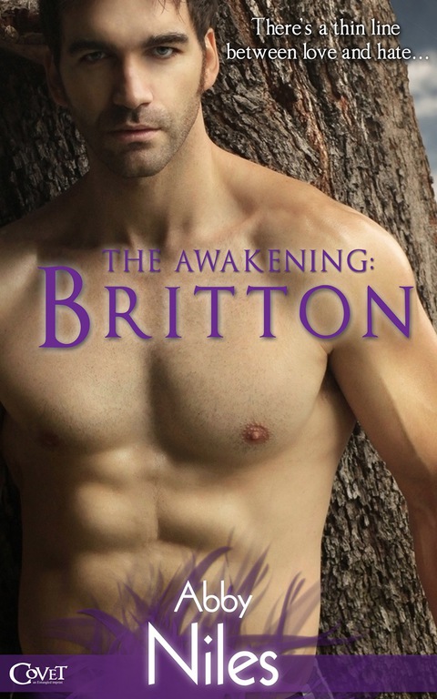 Cover image for book The Awakening: Britton