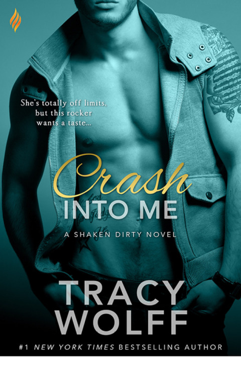 Cover image for book Crash Into Me