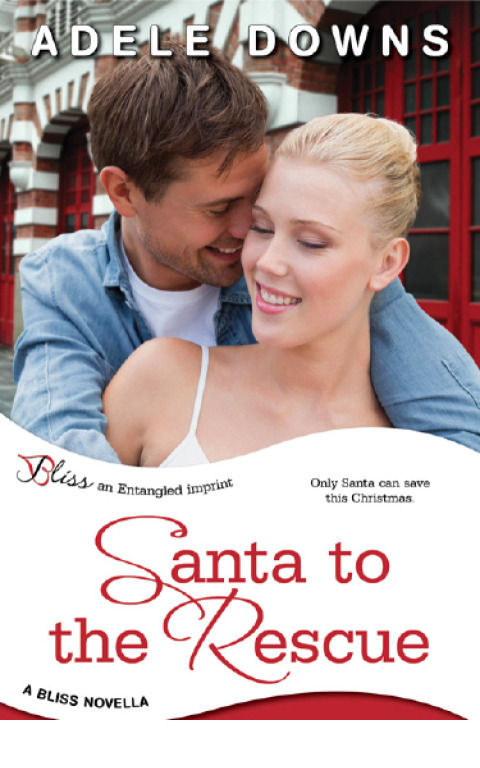 Cover image for book Santa to the Rescue