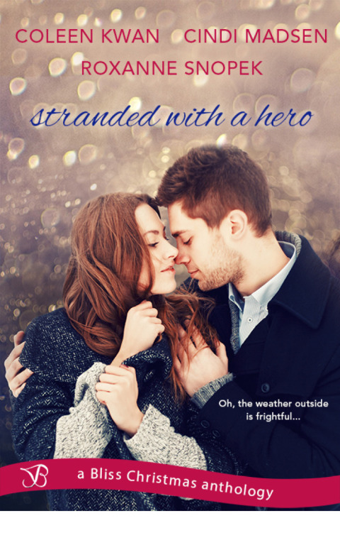 Cover image for book Stranded with a Hero