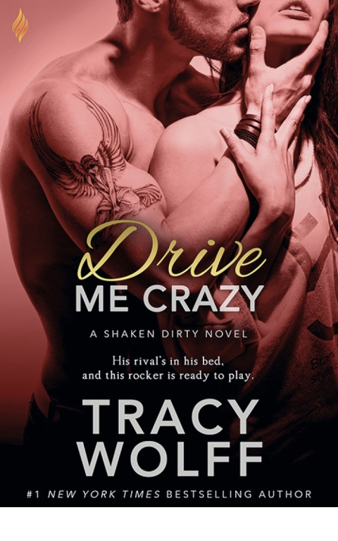 Cover image for book Drive Me Crazy
