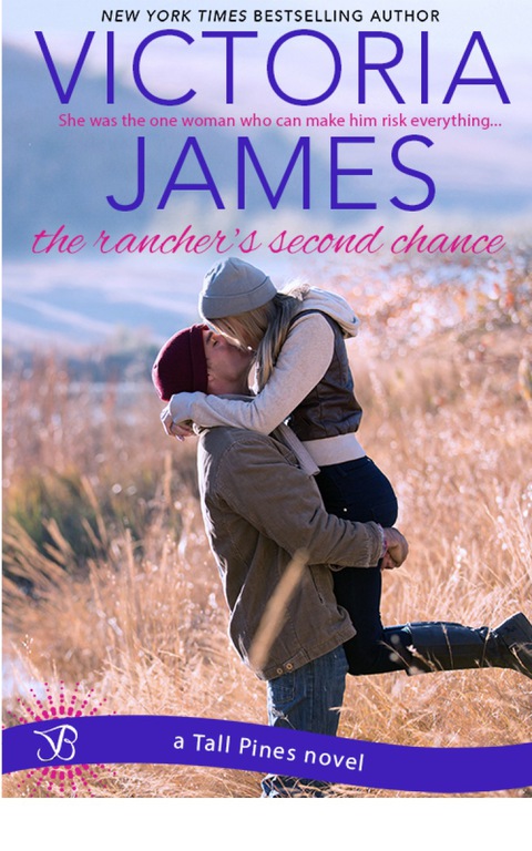 Cover image for book The Rancher's Second Chance