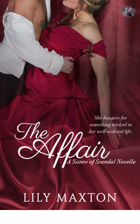 Cover image for book The Affair