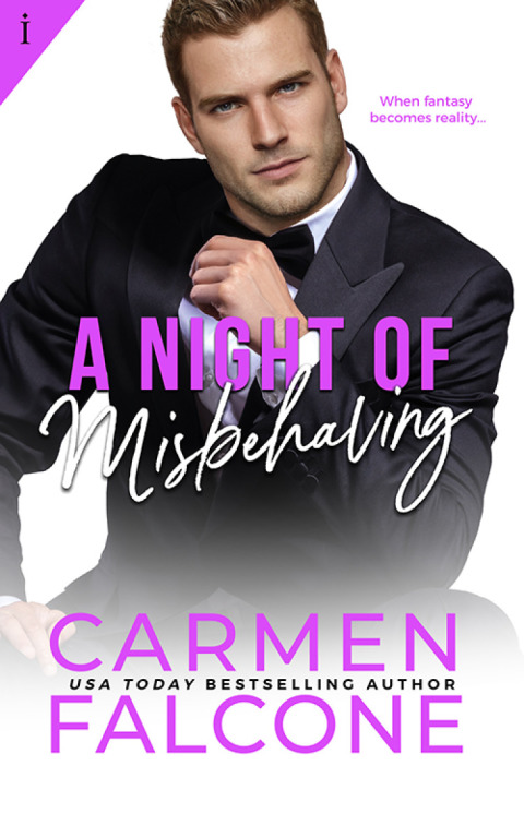 Cover image for book A Night of Misbehaving