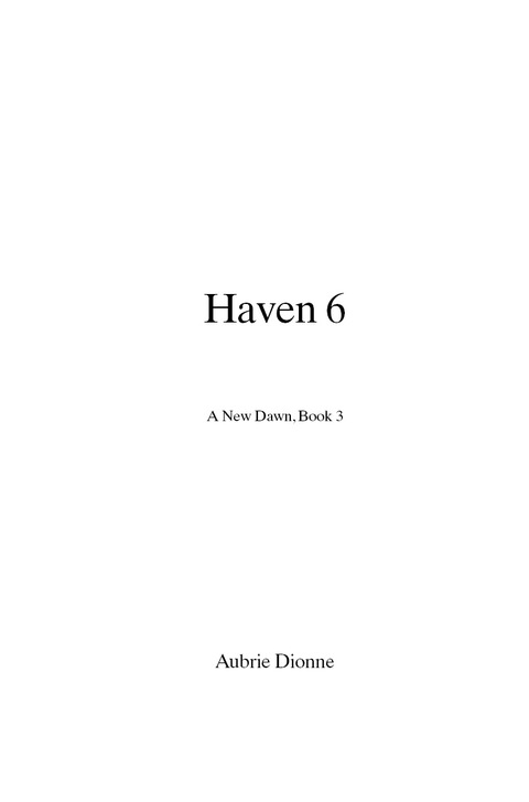 Cover image for book Haven 6