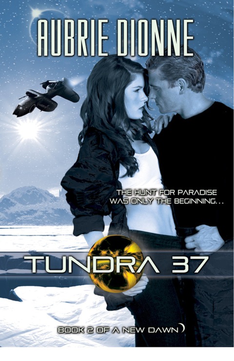 Cover image for book Tundra 37