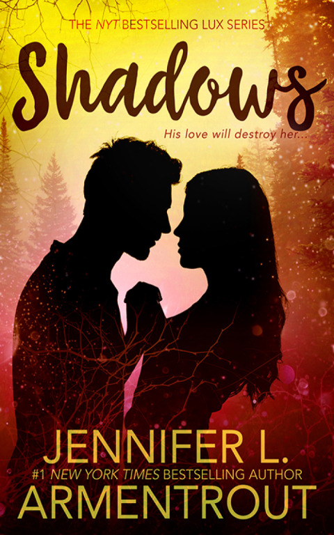 Cover image for book Shadows