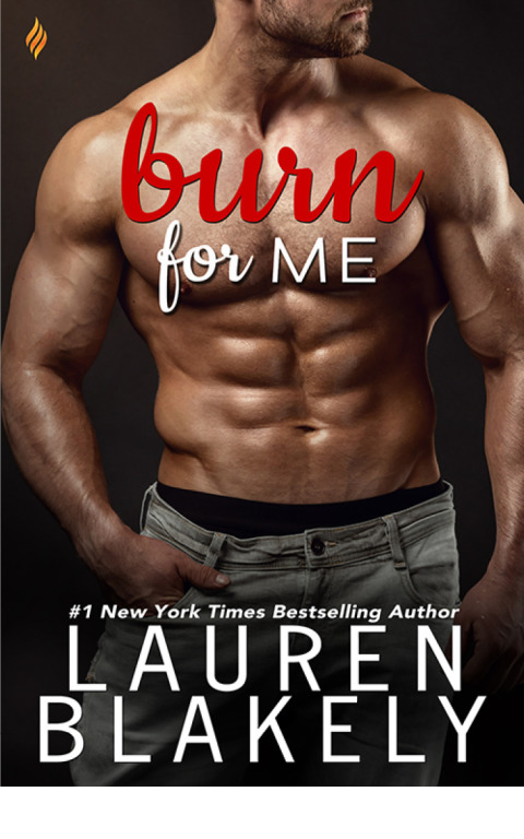 Cover image for book Burn for Me