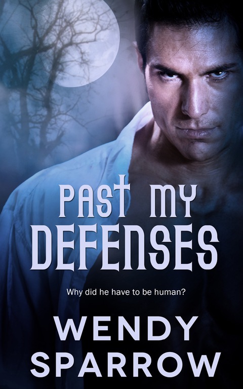 Cover image for book Past My Defenses