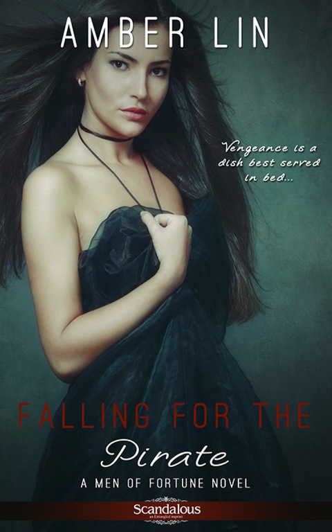 Cover image for book Falling for the Pirate