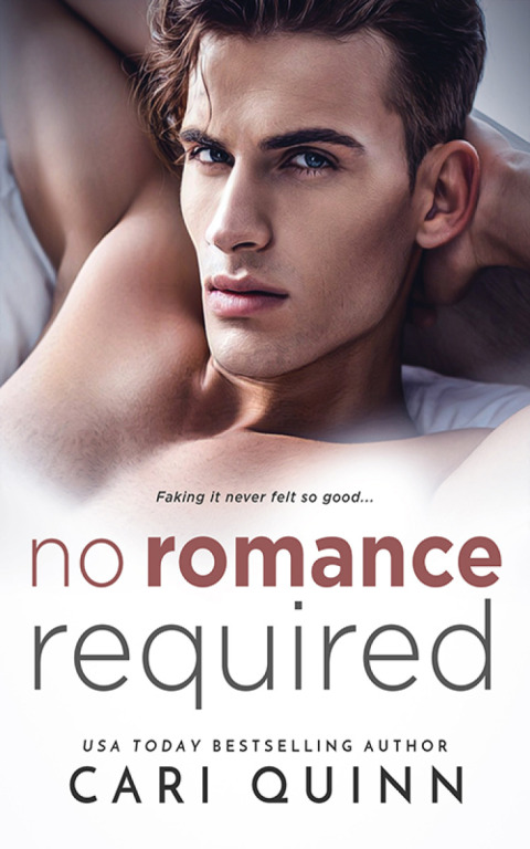 Cover image for book No Romance Required