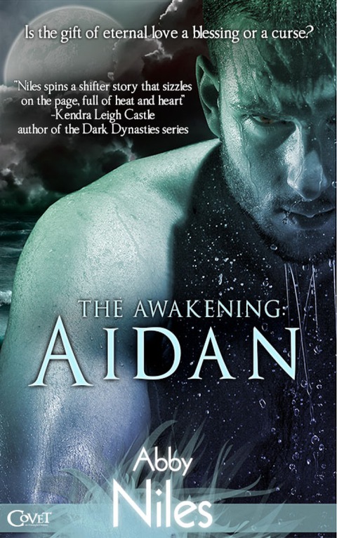 Cover image for book The Awakening: Aidan