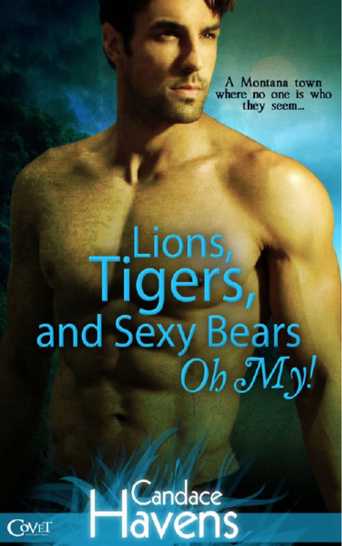 Cover image for book Lions, Tigers, and Sexy Bears Oh My!