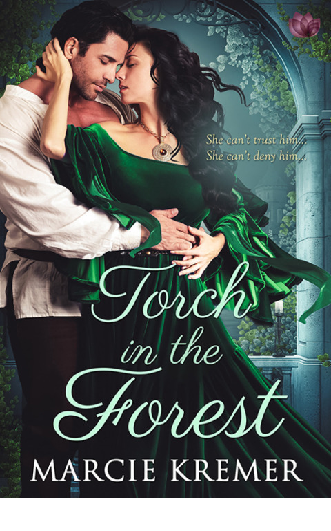 Cover image for book Torch in the Forest
