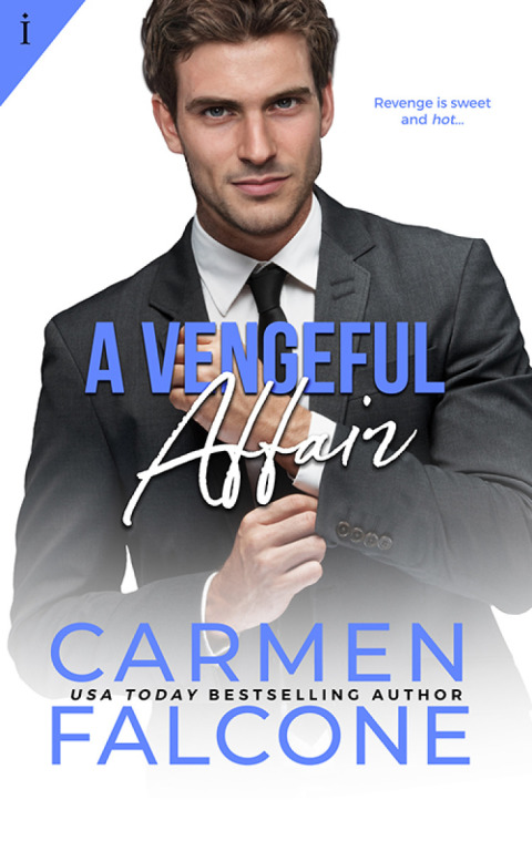 Cover image for book A Vengeful Affair