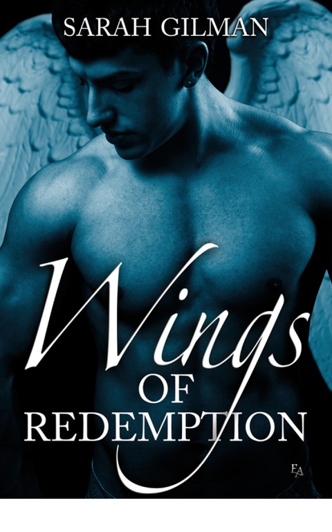 Cover image for book Wings of Redemption
