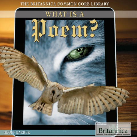 Cover image for book What Is a Poem?