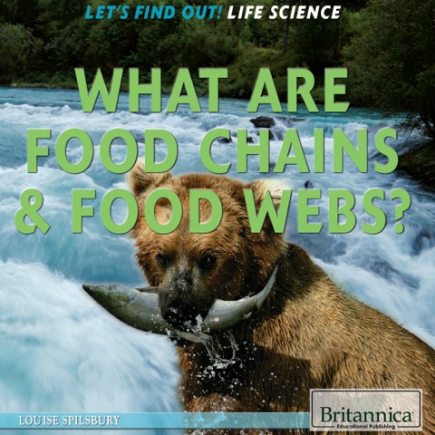 Cover image for book What Are Food Chains & Food Webs?