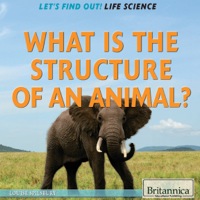 Imagen de portada: What Is the Structure of an Animal? 1st edition 9781622752461
