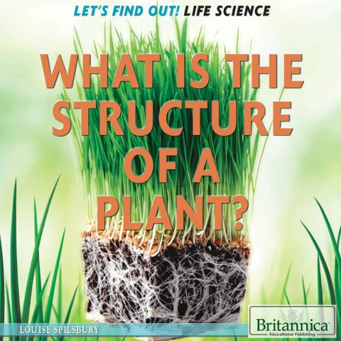 Cover image for book What Is the Structure of a Plant?