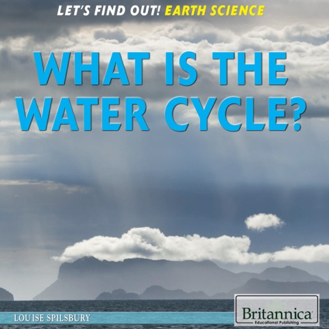 Cover image for book What Is the Water Cycle?