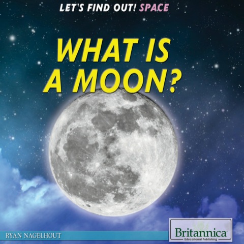 Cover image for book What Is a Moon?