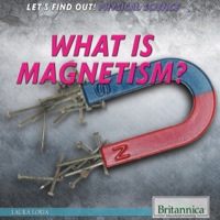 Titelbild: What Is Magnetism? 1st edition 9781622754977