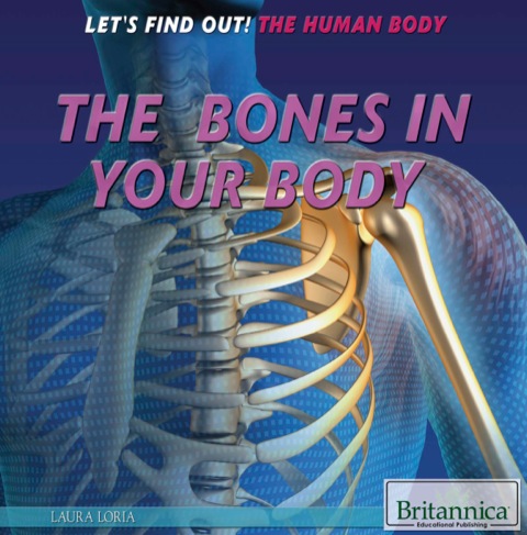Cover image for book The Bones in Your Body