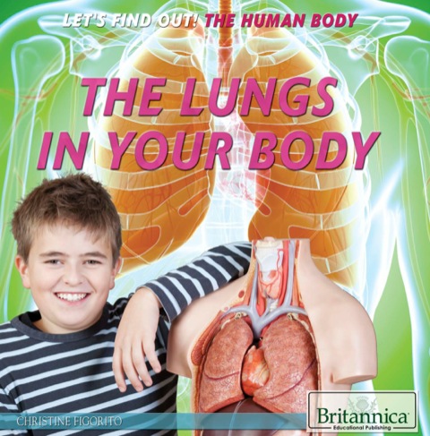 Cover image for book The Lungs in Your Body