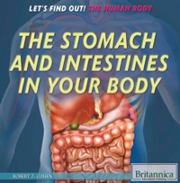 Cover image: The Stomach and Intestines in Your Body 1st edition 9781622756322