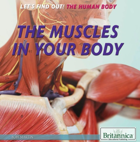Cover image for book The Muscles in Your Body