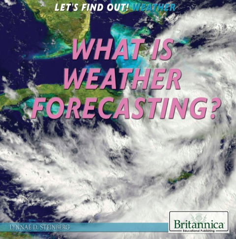Cover image for book What Is Weather Forecasting?
