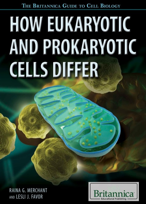Cover image for book How Eukaryotic and Prokaryotic Cells Differ