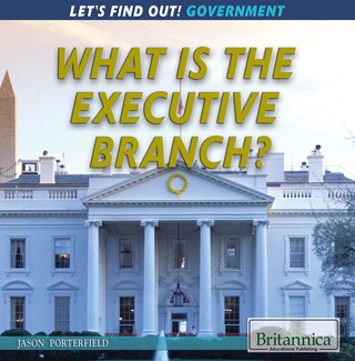 What Is the Executive Branch?