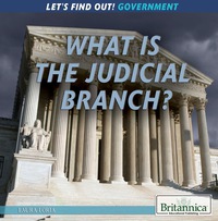 Cover image: What Is the Judicial Branch? 1st edition 9781622759613