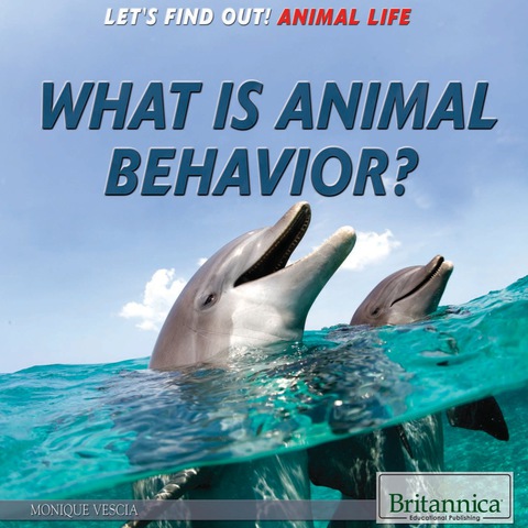 Cover image for book What Is Animal Behavior?