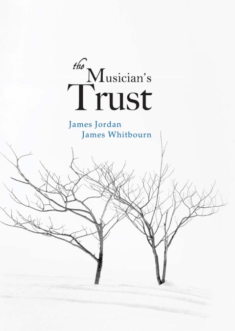 Cover image for book The Musician's Trust