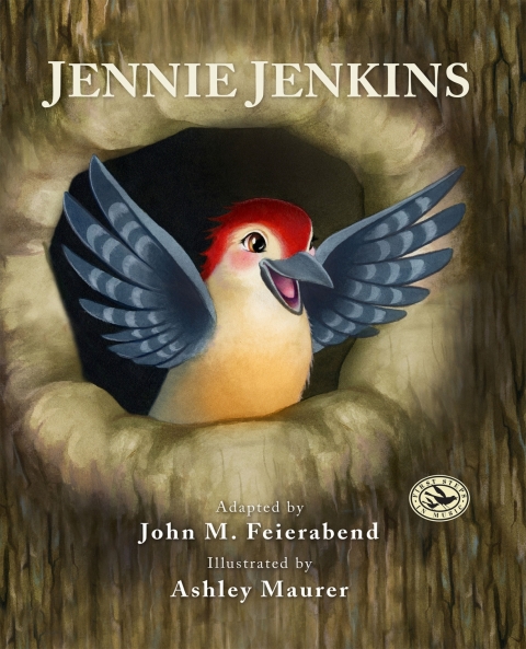 Cover image for book Jennie Jenkins
